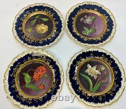 12 Continental Porcelain Hand Painted Botanical Cabinet Plates, 19th Century