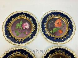 12 Continental Porcelain Hand Painted Botanical Cabinet Plates, 19th Century