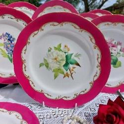 18 Victorian Hand Painted Carmine Botanical Dessert Plates Staffordshire 19th C