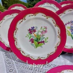 18 Victorian Hand Painted Carmine Botanical Dessert Plates Staffordshire 19th C