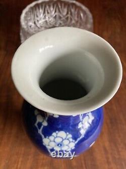 19th Century Antique Chinese Blue and White Vase Prunus Blossom 10