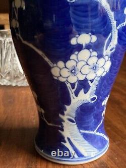 19th Century Antique Chinese Blue and White Vase Prunus Blossom 10