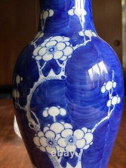 19th Century Antique Chinese Blue and White Vase Prunus Blossom 10