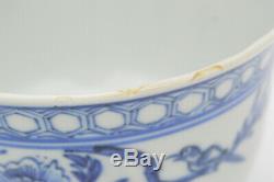 19th Chinese Qing Vietnamese Bleu de Hue Porcelain Bowl Birds gm s c