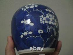 19th century Chinese blue and white prunus porcelain ginger jar