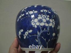 19th century Chinese blue and white prunus porcelain ginger jar