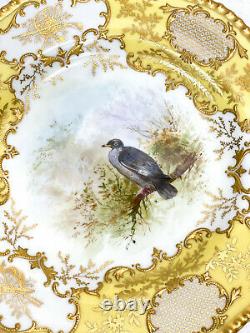 5 Coalport England Porcelain Hand Painted Dessert Plates, circa 1900. Birds