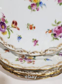 5 Richard Klemm Dresden Hand Painted Dinner Plates Scattered Floral c. 1888-1916