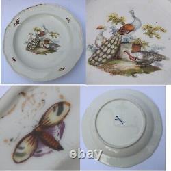 7X antique Meissen porcelain plates hand-painted with insects and birds C. 19thC