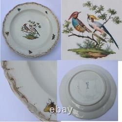 7X antique Meissen porcelain plates hand-painted with insects and birds C. 19thC