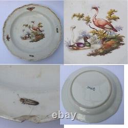 7X antique Meissen porcelain plates hand-painted with insects and birds C. 19thC