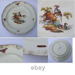 7X antique Meissen porcelain plates hand-painted with insects and birds C. 19thC