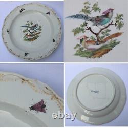 7X antique Meissen porcelain plates hand-painted with insects and birds C. 19thC