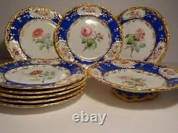 9 pcs Antique H. Painted English Botanical Dinner Plates Compote Coalport