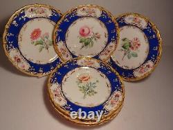 9 pcs Antique H. Painted English Botanical Dinner Plates Compote Coalport