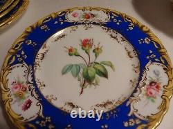 9 pcs Antique H. Painted English Botanical Dinner Plates Compote Coalport