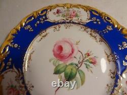 9 pcs Antique H. Painted English Botanical Dinner Plates Compote Coalport