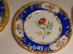 9 pcs Antique H. Painted English Botanical Dinner Plates Compote Coalport