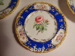 9 pcs Antique H. Painted English Botanical Dinner Plates Compote Coalport