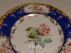 9 pcs Antique H. Painted English Botanical Dinner Plates Compote Coalport