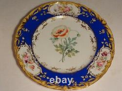 9 pcs Antique H. Painted English Botanical Dinner Plates Compote Coalport