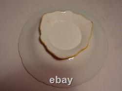 9 pcs Antique H. Painted English Botanical Dinner Plates Compote Coalport