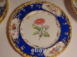 9 pcs Antique H. Painted English Botanical Dinner Plates Compote Coalport