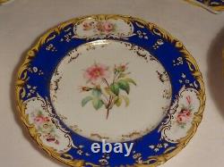 9 pcs Antique H. Painted English Botanical Dinner Plates Compote Coalport