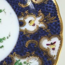 A fine antique porcelain hand-painted Edmé Samson Worcester style Plate C. 1890