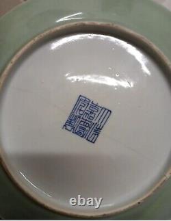 A very rare Antique Chinese 19th century Plate with lovely Dragon & butterly