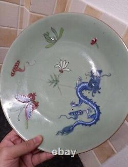 A very rare Antique Chinese 19th century Plate with lovely Dragon & butterly