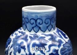 ANTIQUE 19thC CHINESE LOTUS 10 VASE 4 CHARACTER KANGXI MARK BLUE & WHITE