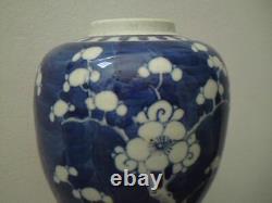 Antique 19th century Chinese Blue and White Prunus Ginger Jar and cover -Perfect