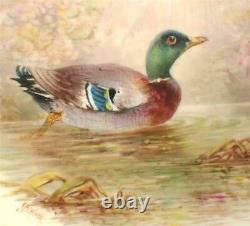 Antique Cauldon Plate Hand Painted Mallard Duck Tiffany & Co Signed Birbeck