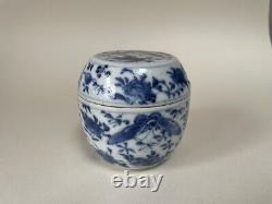 Antique Chinese Blue & White Porcelain Box With LID Qing Dynasty