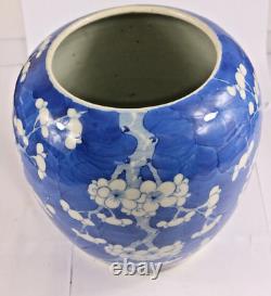 Antique Chinese Blue and White Plum Ice Vase Jar Qing Dynasty