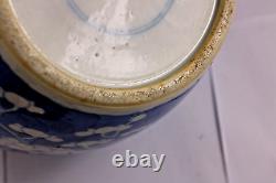 Antique Chinese Blue and White Plum Ice Vase Jar Qing Dynasty