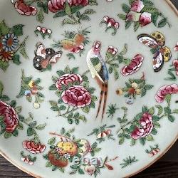 Antique Chinese Fencai Rose Family hand painted plate circa late 1800s