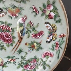 Antique Chinese Fencai Rose Family hand painted plate circa late 1800s