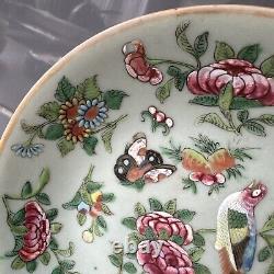 Antique Chinese Fencai Rose Family hand painted plate circa late 1800s