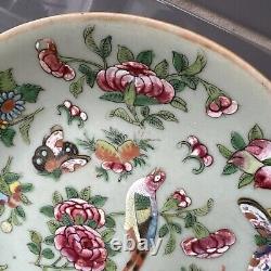 Antique Chinese Fencai Rose Family hand painted plate circa late 1800s