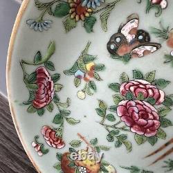 Antique Chinese Fencai Rose Family hand painted plate circa late 1800s