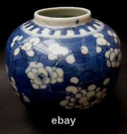 Antique Chinese Porcelain Ginger Jar Prunus Blossom Kangxi Stamped Blue & White