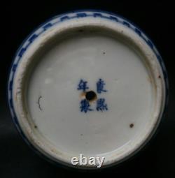 Antique Chinese Porcelain Ginger Jar Prunus Blossom Kangxi Stamped Blue & White