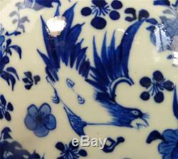 Antique Chinese Qing Porcelain Blue & White Ginger Jar