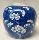 Antique Chinese Blue And White Porcelain Ginger Jar Qing Dynasty