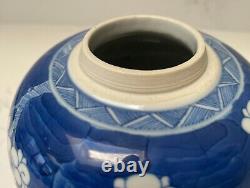 Antique Chinese blue and white porcelain ginger jar Qing dynasty