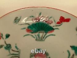 Antique Chinese famille rose porcelain four seasons flowers Qing dynasty #4