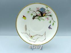 Antique Copeland Porcelain Plate Rare Hand Painted Hummingbird Victorian 19thC