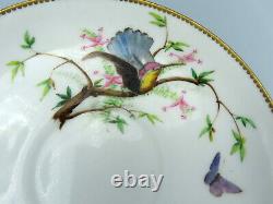 Antique Copeland Porcelain Plate Rare Hand Painted Hummingbird Victorian 19thC